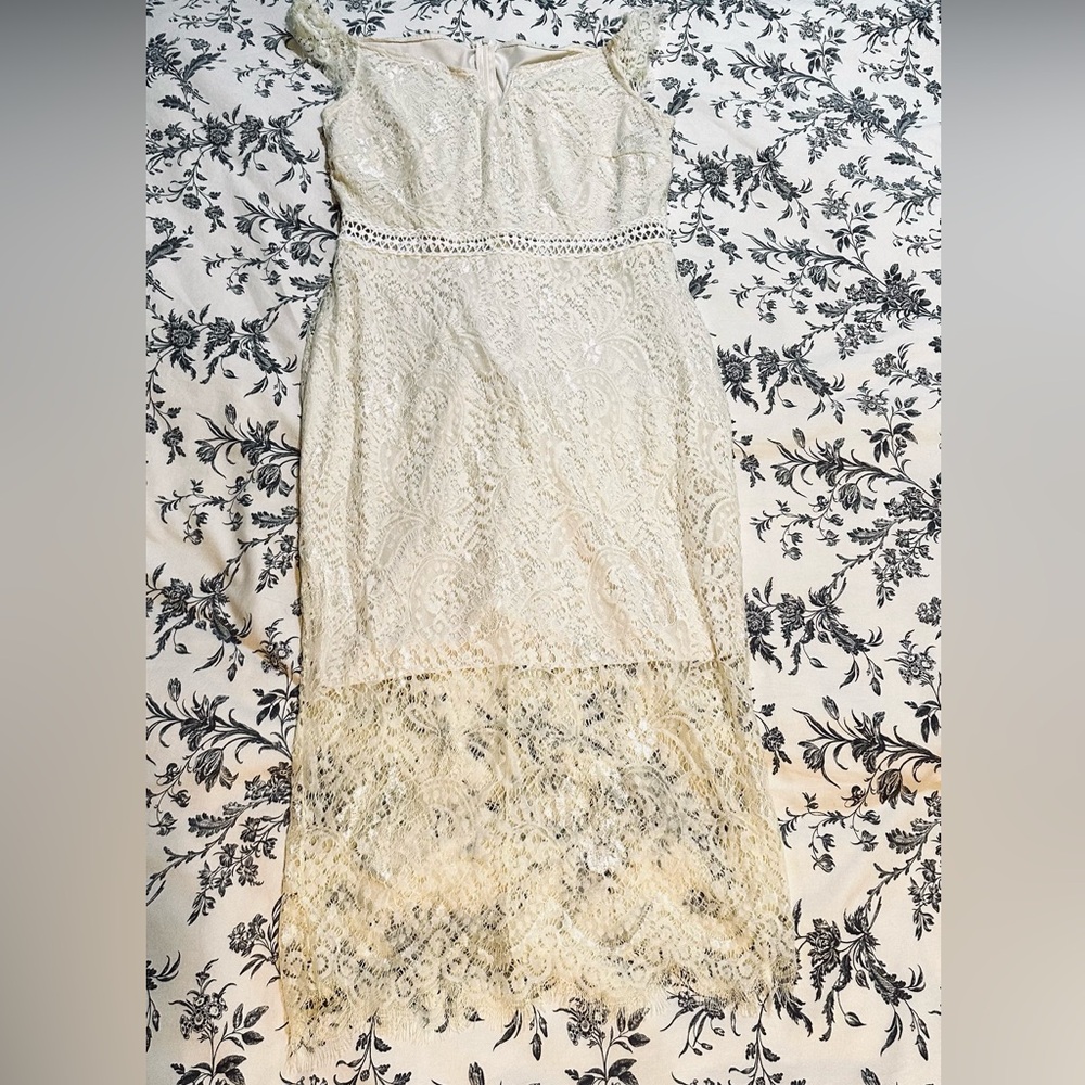 Chic Cream Lace Elegant Dress